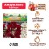 Amarillis "Barbados", district 24/26, 1 pc,