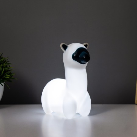 Night Alpaka LED 3HLR44 White-black 6x6x10 cm Risalux-2