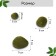 Moss Artificial "Stones", set of 6 pcs., Greengo
