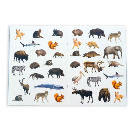 Stickers "My first encyclopedias", set of 4 pcs. 8 pp., A4 format-2