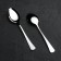 Dessert Garde spoon "Mondial", h = 17 cm, thickness 2.5 mm, silver color