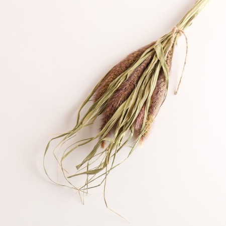 Set of dry flowers "Setaria", banch 7 pcs, length 60-65 (+/- 6 cm), natural-2