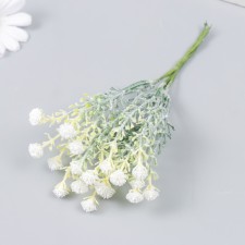 Flowers for decorating 