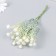 Flowers for decorating "Shabo clove" White 1 bouquet = 6 heads 17 cm