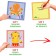 Applications with bombs "Funny animals", 12 p.