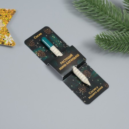 Growing gift pencils Mini "Pine"-1