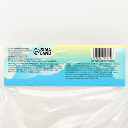 Lilenik "Double Creamy Wonder", rr I, 1 pc, spring 2024-3