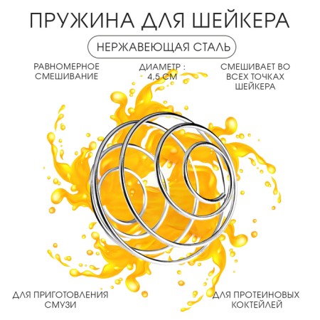 School for the shaker "Master K"