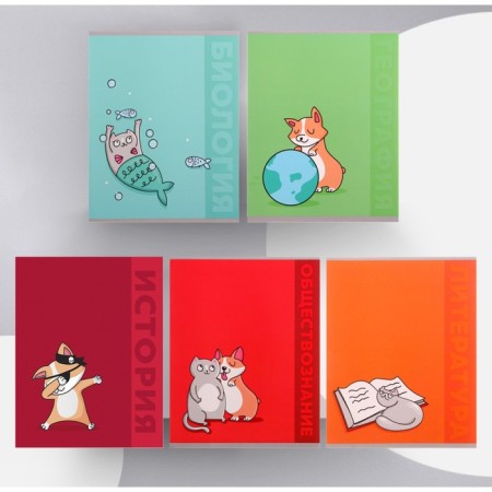 A set of object notebooks Calligrata TOP "Animals", 48 sheets, 12 items, with reference material, cover coated cardboard, matte lamination, selective UV-lame, offset block-5
