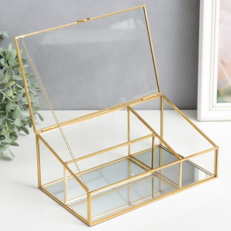 Casket glass with a metal frame "Transparency" gold 10x14.5x25 cm-1