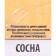 Means for protecting wood, pine, 3 l
