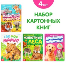 Books Cardboard set 