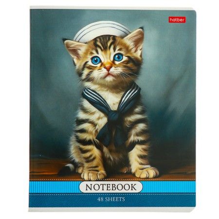 Notebook 48l Cl cats Artists, regional cards, rounded carrier, BL 65g/m2, mix-5