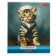 Notebook 48l Cl cats Artists, regional cards, rounded carrier, BL 65g/m2, mix