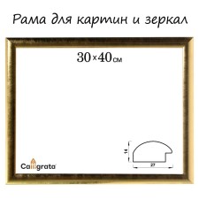 Frame for paintings (mirrors) 30 x 40 x 2.7 cm, plastic, calligrata 6472, gold