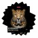 Notebook of 48 sheets in the Erichkrause Strong and Brave cage, cover coated cardboard, matte lamination, mix