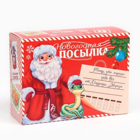 Sweet children's New Year's gift "New Year's Parcel", sweets 300g.-5