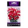 Eustoma flower seeds large -flowered Arena Red, 5pcs