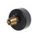 Thermomanometer TIM Y-63T-10, axial, DC 63 mm, 10 bar, 120 ° C