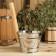 Dousing bucket, 2 l, metal, with a wooden handle
