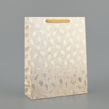 Package Gift New Year Laminated 