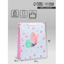 Package Gift Laminated Vertical 
