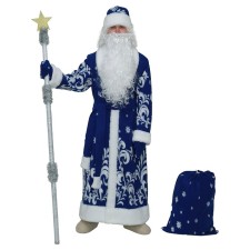 New Year! Carnival costume 