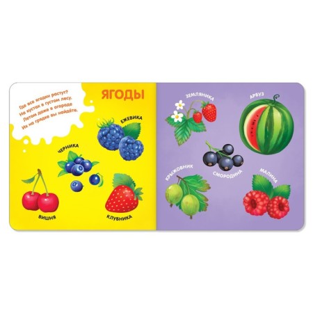 Books Cardboard set “We are getting acquainted with the outside world”, 4 pcs. 10 p.-6