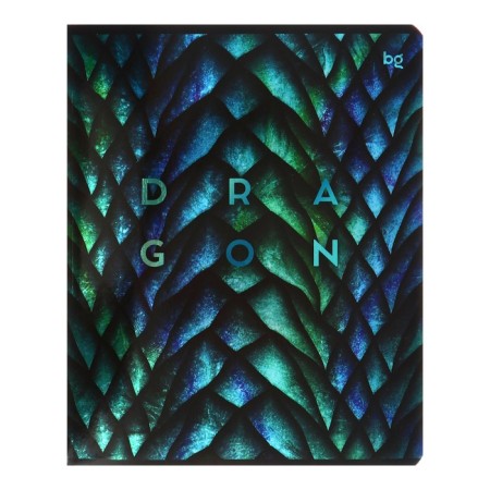 Notebook 48 sheets of Dragon-Like cage, covered cardboard, metallization, mix-2