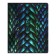 Notebook 48 sheets of Dragon-Like cage, covered cardboard, metallization, mix