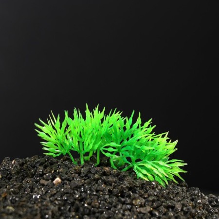 The artificial aquarium plant on stone, 5 x 4 x 7 cm-2