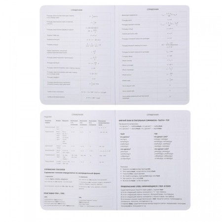 Universal diary for class 1-11, integral cover, artificial leather, silkography, liesse, 80 g/m2-5