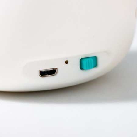 Lamp "Dinosaurus" LED 3W USB battery white-green 8x10x30 cm Risalux-10