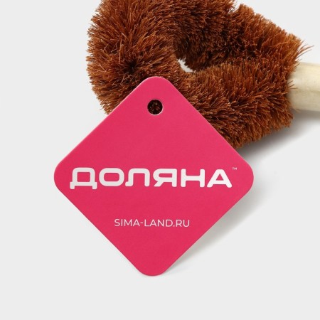 Brush for cleaning dishes of the share, 8 × 4.5 × 23 cm, coconut stubble, wooden handle-9