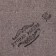 Souvenir Scroll "Airborne Forces Nobody except us"