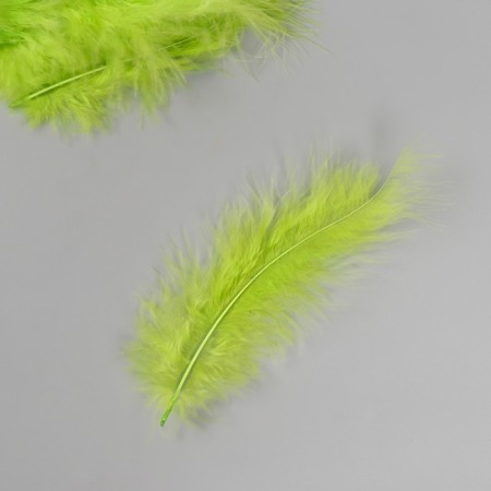 Pen of decorative goose downy "bright green" set 40 pcs h = 10-15 cm-2