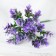 Bouquet "wavy leaflets" 17 cm, mix