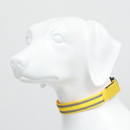 Collar with backlight double strip size m, osh 40-48 x 2.5 cm, 3 glow modes yellow-2
