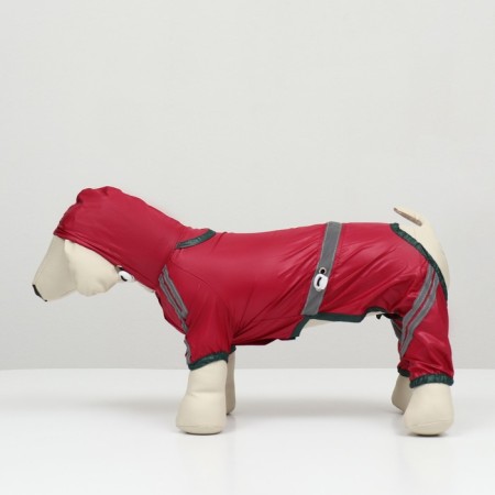 Combiason for dogs, demi-season, size XL (DS 31-33, OG 47-49, Osh 35-37 cm), red-4