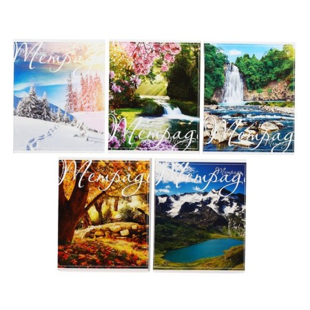 Notebook of 48 sheets in the Calligrata “landscape” cage, covered cardboard, block No. 2, whiteness 75% (gray sheets), mix