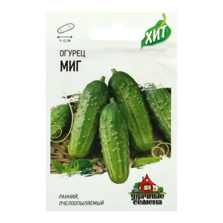 Seeds of cucumber "MiG", early -nasal, bee -legged, 0.3 g Series Hit X3-3