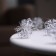 Girlynda “thread” dew 5 cm, with nozzles “snowballs”, IP20, silver thread, 10 LED, AAX2 batteries (not complete), glow warm white