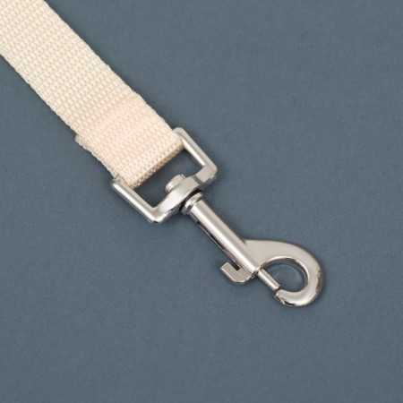 Leash 2 m x 2 cm, beige-1