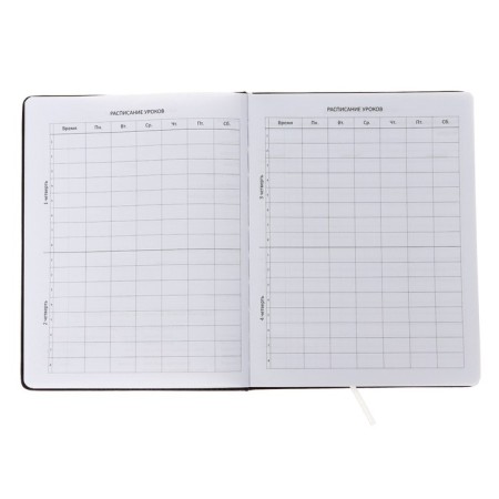 Universal diary for grade 1-11 Unique, hard cover, artificial leather, foam rubber, lies, 80 g/m2-4