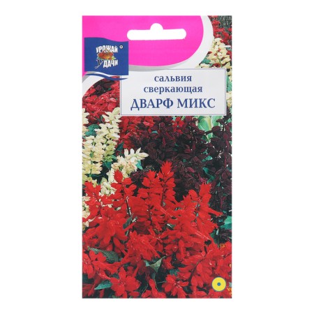 Salvia flowers "dwarf", mix, 0.03 g