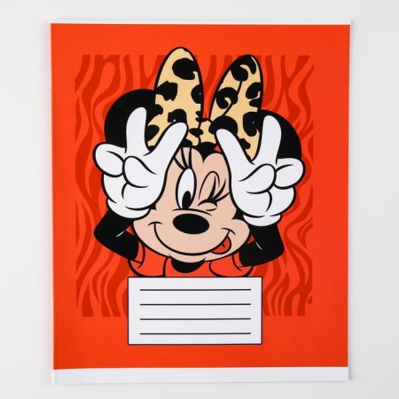 Notebook in a cage 12 sheets, 5 types of mix, cover coated cardboard, Minnie Mouse-2