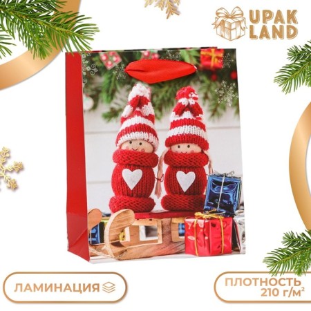 Laminated package "Sani with a gift", 11.5 x 14.5 x 6 cm