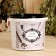 Bath stone "Chromite" weaped, bucket 10kg