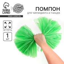 Pompom 1pc, color
