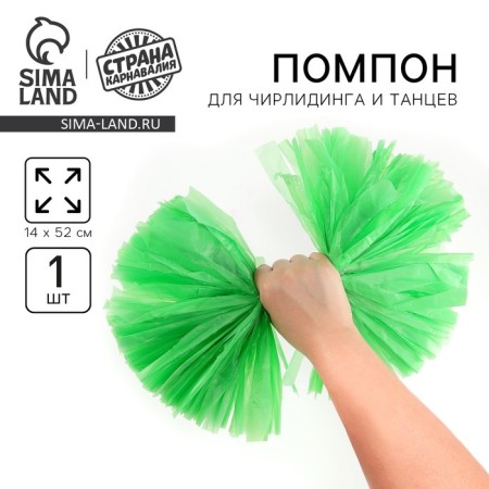 Pompom 1pc, color